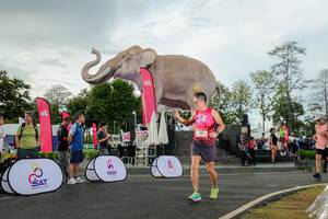 BIB: 
                            <button type="button" onclick="openModal(26528353)" class="btn btn-primary btn-sm float-right btn-popup" data-toggle="modal" data-target=".modal-high-quality">
                        <i class="fas fa-shopping-cart"></i> Add to Cart
                    </button>
                                            <button type="button" onclick="isThisMe(26528353, true)" class="btn btn-success btn-sm float-right btn-popup btn-isme hidden" data-toggle="tooltip" data-placement="bottom" title="นี่คือรูปของคุณใช่ไหม คลิกที่นี่เพื่อเอาเข้าอัลบั้ม">
                        <i class="fas fa-plus"></i> Add to album
                    </button>
                    <button type="button" onclick="isThisMe(26528353, false)" class="btn btn-warning btn-sm float-right btn-popup btn-isnotme hidden">
                        <i class="fas fa-ban"></i> Remove from album
                    </button>